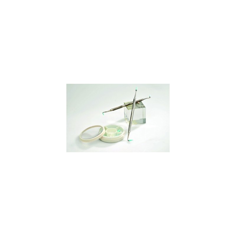 FLEXI-TIPS METAL NON STICK INSTRUMENT KIT, 2 METAL INST. & 10 TIPS