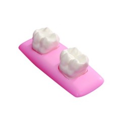 :: AMERICAN DENTAL SUPPLY, INC. -  GIANT SEALANT DEMONSTRATOR MODEL (5 1/2" x 2 1/4" x 1 1/2")  ::