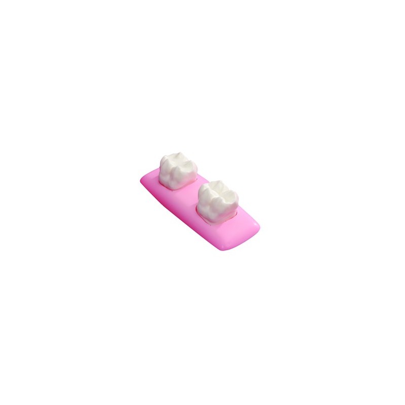 :: AMERICAN DENTAL SUPPLY, INC. -  GIANT SEALANT DEMONSTRATOR MODEL (5 1/2" x 2 1/4" x 1 1/2")  ::