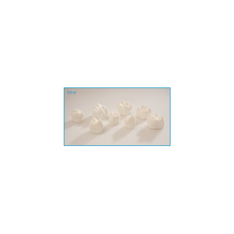 :: AMERICAN DENTAL SUPPLY, INC. -  GIANT PREP DEMONSTRATION MODEL,SET OF 8 PREPARATIONS  ::