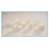 :: AMERICAN DENTAL SUPPLY, INC. -  GIANT PREP DEMONSTRATION MODEL,SET OF 8 PREPARATIONS  ::