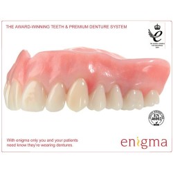 :: AMERICAN DENTAL SUPPLY, INC. - ENIGMA TOOTH CARD, ANTERIOR LOWER OR UPPER, 1X6 CARD ::