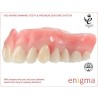 :: AMERICAN DENTAL SUPPLY, INC. - ENIGMA TOOTH CARD, ANTERIOR LOWER OR UPPER, 1X6 CARD ::