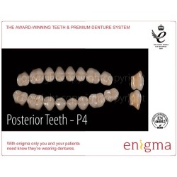 :: AMERICAN DENTAL SUPPLY, INC. - ENIGMA TOOTH CARD, POSTERIOR LOWER OR UPPER, 1X8 CARD ::