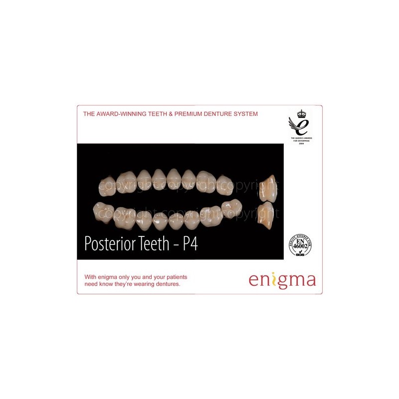 :: AMERICAN DENTAL SUPPLY, INC. - ENIGMA TOOTH CARD, POSTERIOR LOWER OR UPPER, 1X8 CARD ::