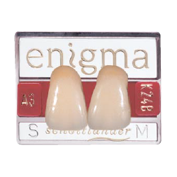 ENIGMA TOOTH CARD, PAIR, 1X2 CARD