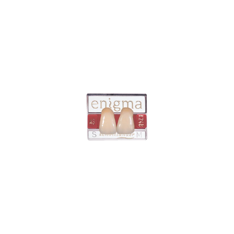 ENIGMA TOOTH CARD, PAIR, 1X2 CARD