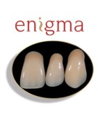 Enigma Denture Teeth