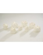 Giant Prep Models- Eight Preparation Set
