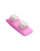 :: AMERICAN DENTAL SUPPLY, INC. - GIANT SEALANT DEMONSTRATOR MODEL ::