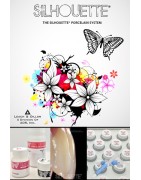 :: AMERICAN DENTAL SUPPLY, INC. - SILHOUETTE® PORCELAIN DENTINES & MODIFIERS   ::